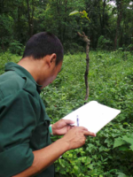 Publication cover for Ranger Perception: Asia